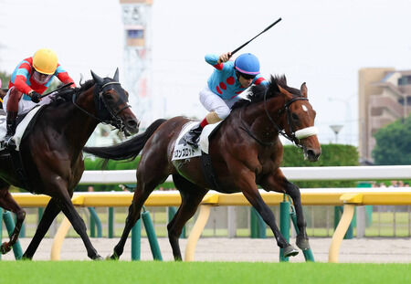 アロンズロッドが2勝目!1勝クラス突破