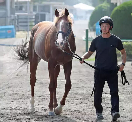 【2歳新馬】アーモンドアイ2番子プロメサアルムンド帰厩