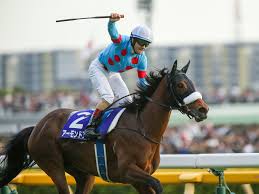 【競馬】　年度代表馬はアーモンドアイに決まりだな
