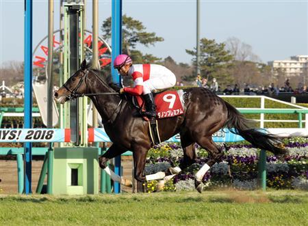 【東京優駿2018】人気のことを考えるならやはりダノンプレミアムの圧勝が一番良いんだよな？