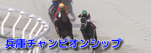 兵庫チャンピオンシップ(2023)データ分析！地方競馬交流重賞