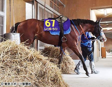 【競馬ネタ】能力は足りないけど、厩舎の育成力様様でG1勝った馬は？(2歳G1は除く)