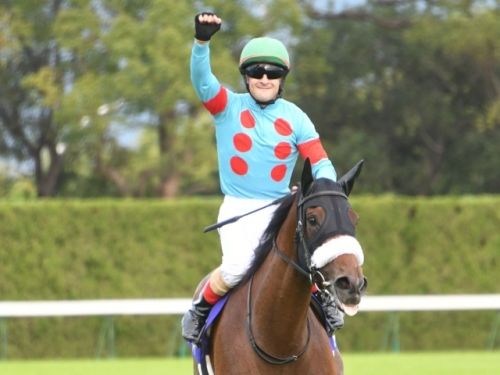 【競馬】ディープインパクトは当時物凄いフィーバーだったのに何でアーモンドアイは全然盛り上がらないの？