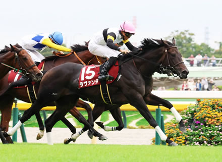 【アイルランドT】4番人気ラヴァンダが差し切りV!重賞初勝利