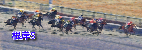 根岸ステークス(2023)データ分析！前走1200mでだった馬で？？は(0-0-0-30)