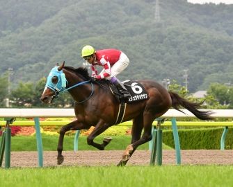 【競馬】　オジュウチョウサンオーナー「有馬記念の騎手は武豊騎手　駄目なら石神くん」