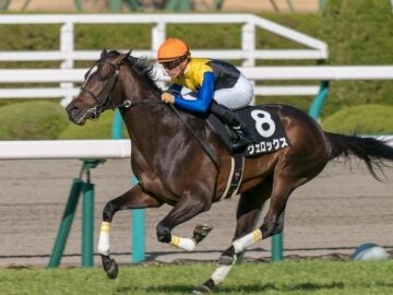 【競馬】　ヴェロックス、脚部不安で東京新聞杯回避