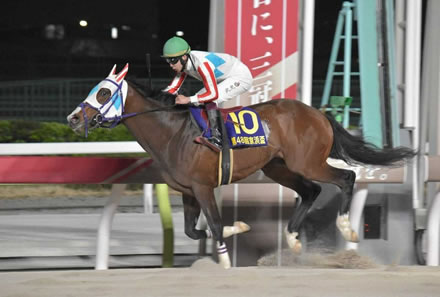 ナチュラルライズ、羽田盃レーティングは115 2年目で早くもダート三冠馬有力か