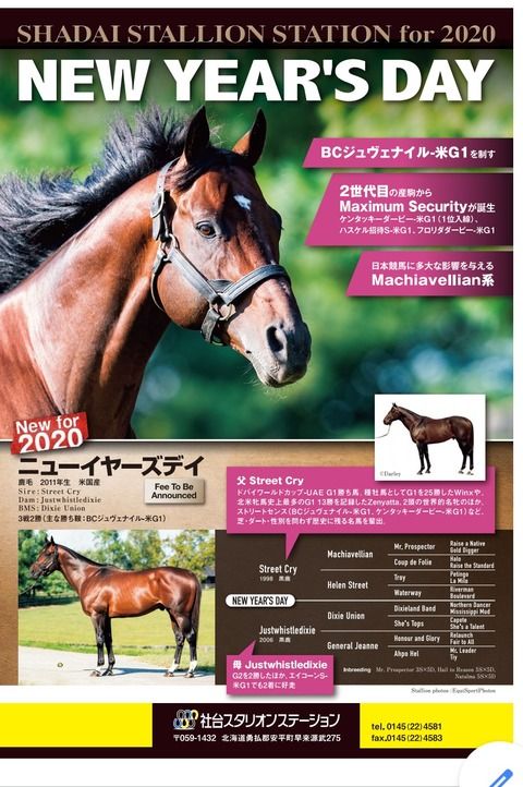 【競馬】社台が新種牡馬ニューイヤーズデイを導入