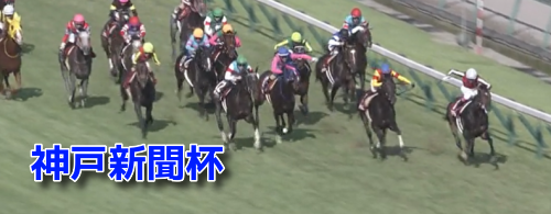 【神戸新聞杯 2023】過去10年の傾向&データ消去法