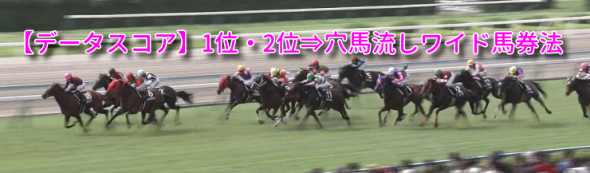 【新作です】的中率67.9％,回収率153.4％!!「DS指数1位・2位」から「穴馬」へワイド流し！