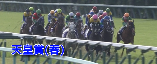 [新装]京都芝3200m・外の傾向と天皇賞(春)登録馬の京都芝実績