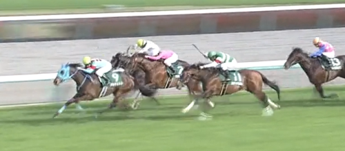今週の重賞データ分析まとめ(大阪杯,ダービー卿CT)