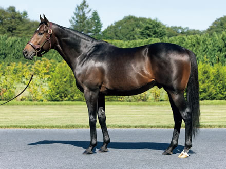 サートゥルナーリア産駒ガチのマジで覚醒する