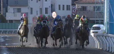 2月25日[高確馬(地方Ver)浦和競馬(5R,8R,11R初花月特別)