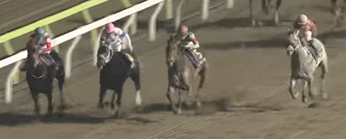 JBCクラシック(2021)過去10年の傾向　人気・配当・年齢・所属データ