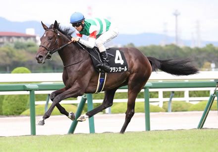 クロワデュノール香港当日の阪神JFアランカール→北村友一乗り替わり？