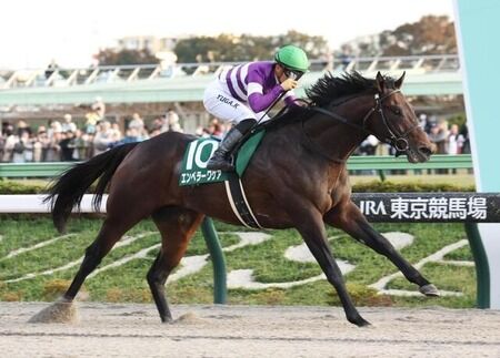 エンペラーワケア横山武史でフェブラリーS　川田サウジ遠征のため