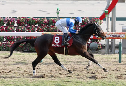 【天皇賞･秋】ロードデルレイ左後脚に違和感で出走取消