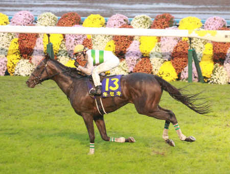 【競馬】第78回菊花賞 反省会