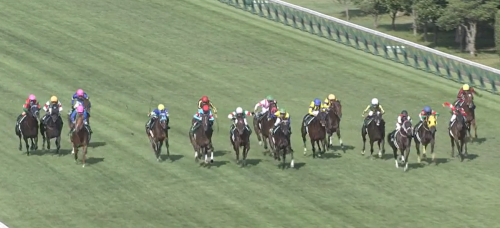 新潟芝2000m・外の傾向と新潟記念登録馬の新潟芝実績