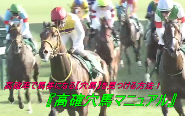 回収率207.8%の馬連馬券法と高確穴馬配信の特典付！『高確穴馬マニュアル』