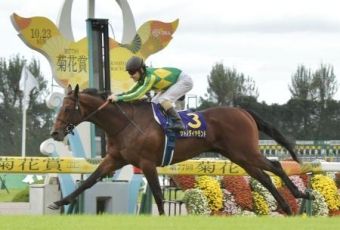 【競馬】　サトノダイヤモンド　ルメール騎手で金鯱賞→大阪杯→宝塚記念へ