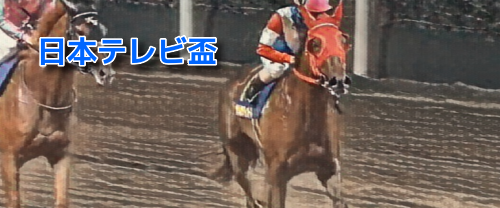 日本テレビ盃(2023)データ分析！地方競馬交流重賞