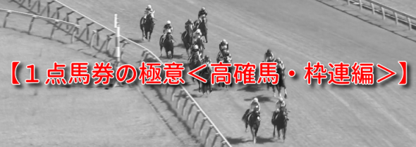 6月からは高確馬の枠連1点！【１点馬券の極意＜高確馬・枠連編＞】買い目配信付のご案内