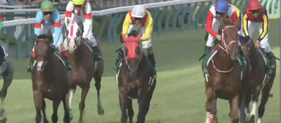 チェック馬(9月1日〜2日)