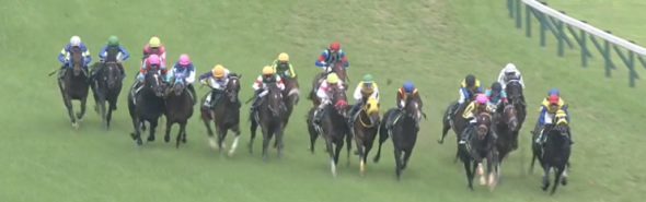 【新作です】コンピ指数6位7位8位《穴馬複勝》競馬場コース別馬券法＆買い目配信