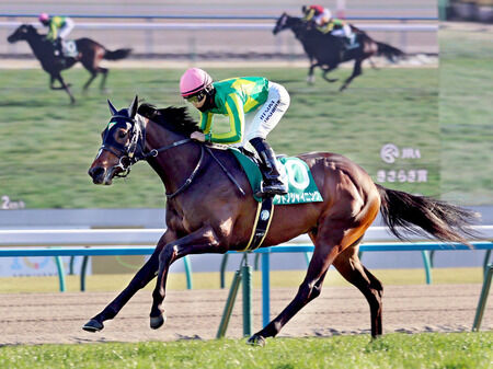 【競馬予想】[4]第92回東京優駿(日本ダービー)(GⅠ) /2025