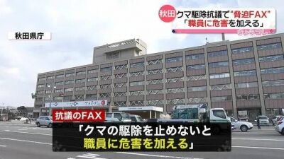 クマ駆除抗議人、ついに一線を越えてしまう・・・