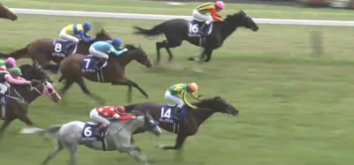 東京芝1600mの傾向と安田記念登録馬の東京芝実績