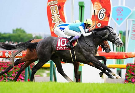 【競馬予想】[1] 第60回京都大賞典(GⅡ) /2025
