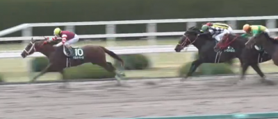 出走馬確定時点での今週の注目馬(4月14日～15日)