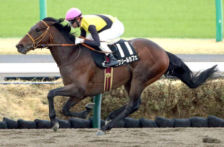 【伏竜S】ルクソールカフェ強すぎワロタｗｗｗwｗｗ