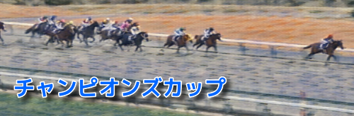 中京ダ1800mの傾向とチャンピオンズカップ登録馬の中京ダート実績