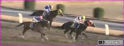 10月26日[高確馬(地方Ver)]船橋競馬(6R,8R,12R千葉県畜産フェア賞)