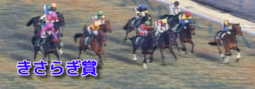 きさらぎ賞(2023)データ分析！前走1800m～2000mだった馬で？？は(0-0-0-15)