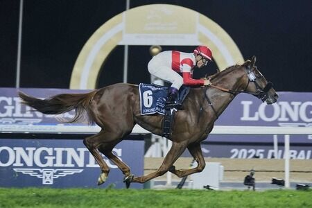 ジャパンカップで３強対決が楽しみすぎる件