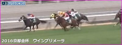 中山金杯　ハンデ●●以下は(0-0-0-16)