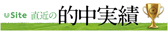 無料予想だけどプラス収支！siteの複勝・馬連予想はやっぱりすごかった！