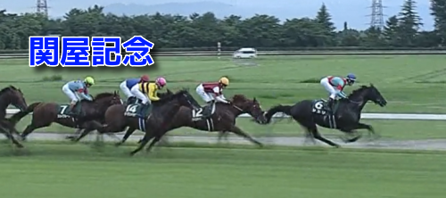 新潟芝1600m・外/騎手・種牡馬データ(2023関屋記念)＆【小倉記念】データ消去法から残る6頭