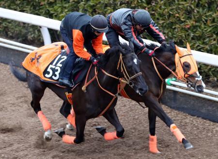 【競馬ネタ】今の時点でファンディーナとソウルはサトノダイヤモンドに勝てるのか？