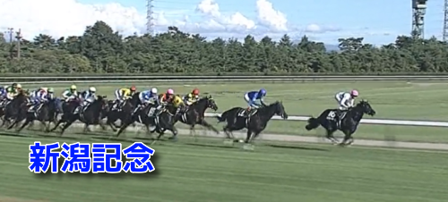 新潟記念データ(1)＆MRランクベスト5・重/不良適性ランク