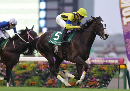 【悲報】アルテミスS勝ちフィロステファニ屈腱炎