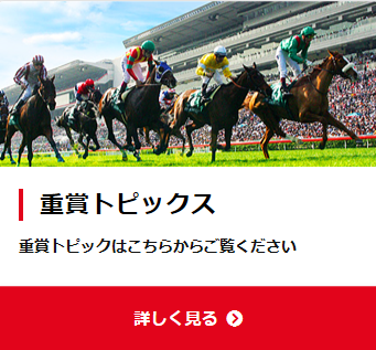 ■【厳選情報公開】間違いなく参考になる穴馬の的中確率と高配当実績！■