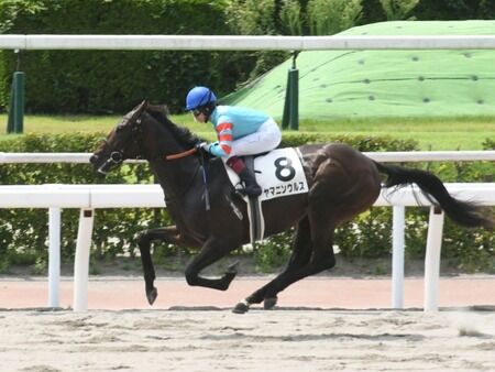 新馬戦大差勝ちして成功した馬