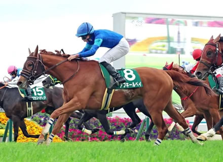 【葵S】大波乱15人気のアブキールベイがＶ！岩田望来がバースデー勝利